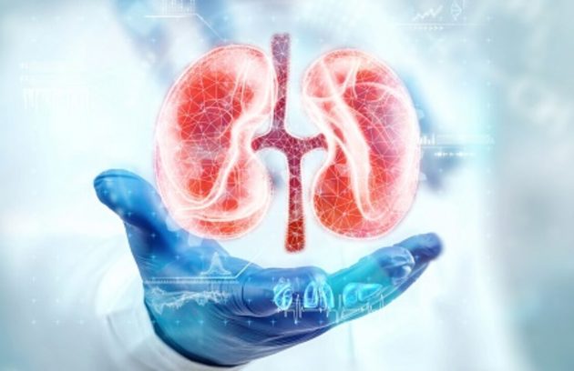 Kidney Health (1)