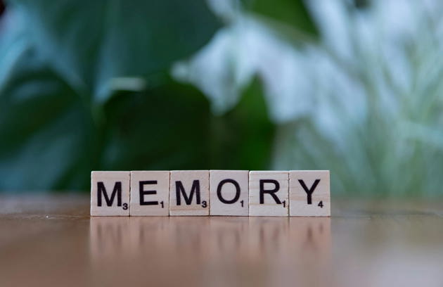 Memory 1