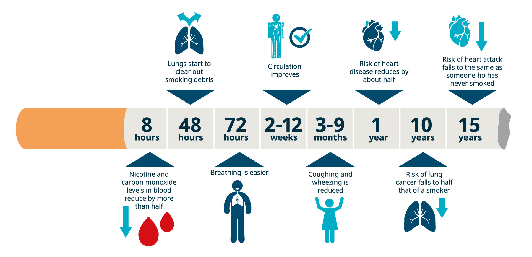 Quit Smoking Timeline